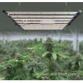 LED Grow Light for Indoor